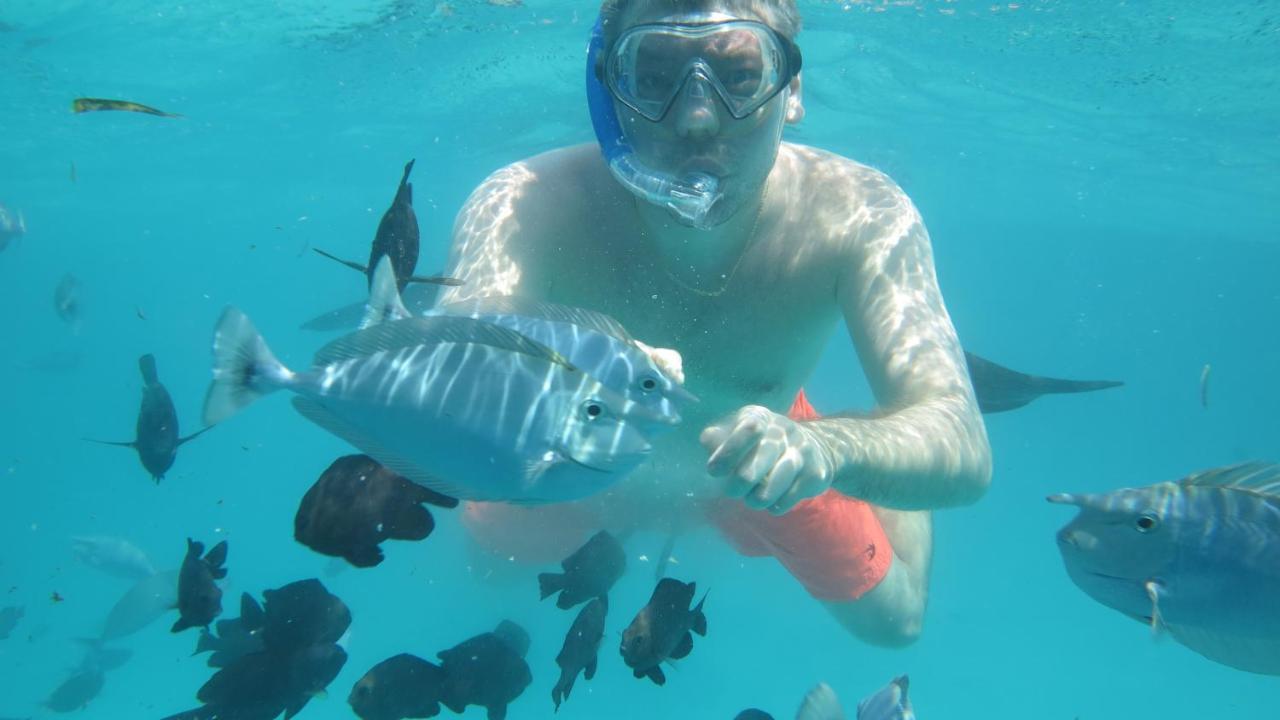 הורה Treasure Island Lodge מראה חיצוני תמונה